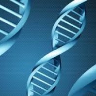 Test del DNA a scopo legale          (test di paternità)